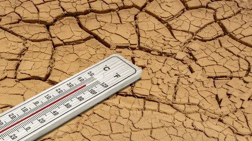A thermometer showing a temperature over 100 °F rests on the desert ground.